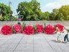Пневмогирлянда из Пионов с эффектом раскрытия