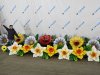 Нарцисс с раскрытием