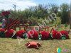 Надувные цветы гвоздики — гирлянда из гвоздик