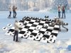 Гигантские шахматы — 32 фигуры