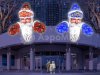 Дед Мороз на крышу