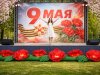 Пневмогирлянда Гвоздики
