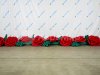 Надувные цветы гвоздики — гирлянда из гвоздик