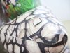 Большая командная игра «Тотем»