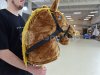 Хоббихорсинг — популярная игра из детства