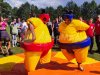 Сумо — комплект игровых аттракционов на двух участников