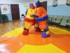 Сумо — комплект игровых аттракционов на двух участников