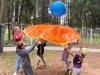 Командный волейбол