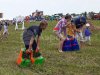 Комплект для старших классов — веселые старты и забавы