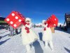 Гигантские кости — большие игральные кубики