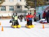 Командные лыжи для взрослых и детей