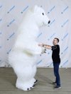 Надувной костюм Мишка, медведь из искусственного меха на одного оператора