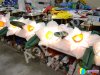 Нарцисс с раскрытием