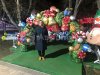 Новогодняя надувная арка в исполнении Эксклюзив с колокольчиками