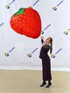 Клубника-подушка — яркий и легкий реквизит для шоу, игры и развлечений