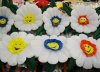 Ромашка с раскрытием