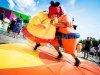 Сумо — комплект игровых аттракционов на двух участников