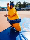 Сумо — комплект игровых аттракционов на двух участников