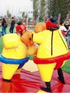 Сумо — комплект игровых аттракционов на двух участников