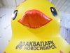Надувная уточка для аквапарка