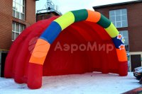 разноцветный с декором