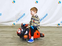 божья коровка (№1)