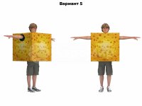 сырный кубик (№5)