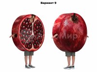 гранат (№9)