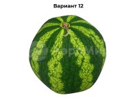 арбуз (№12)