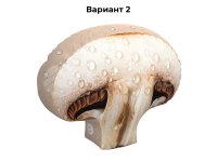 гриб(№2)