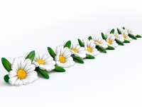вариант 1