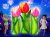 Тюльпан 