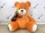 Плюшевый мишка