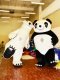 Надувной костюм Панда из искусственного меха