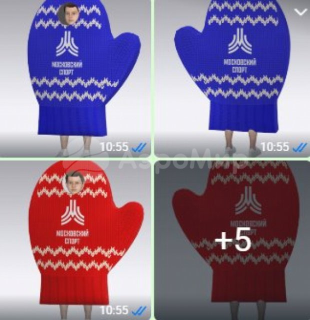 Игровой костюм Варежка