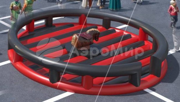 Родео на мяче