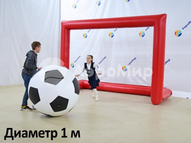 Мяч ТПУ с чехлом