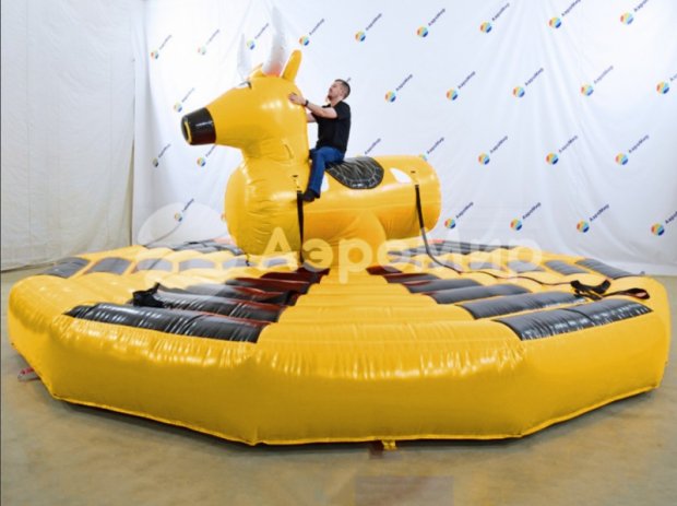 Родео на быке