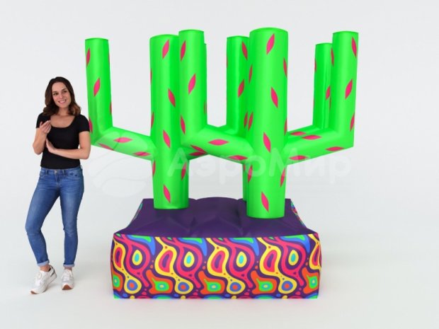 Кольцеброс Кактус