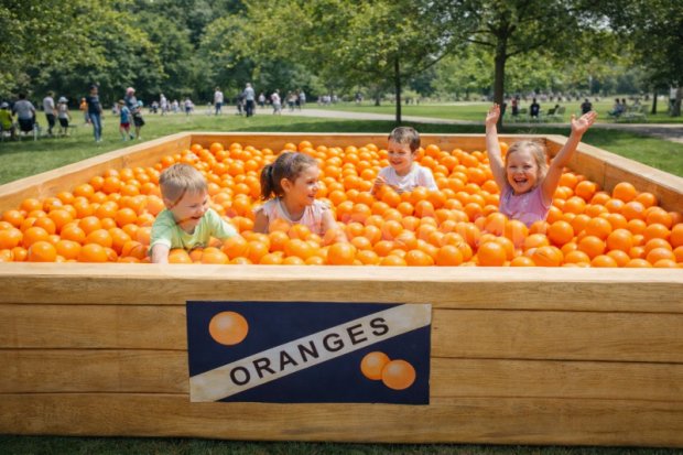 Полноцветный