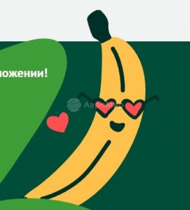 Тюльпан 