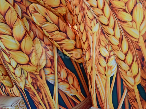 Арка-туннель Колосья