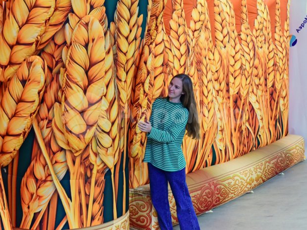 Арка-туннель Колосья