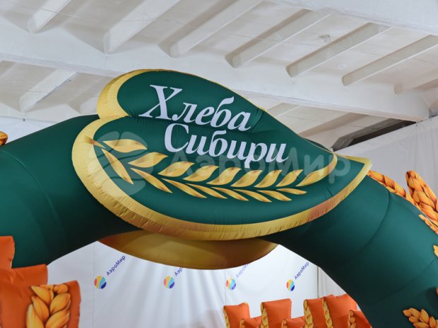 Арка-туннель Колосья