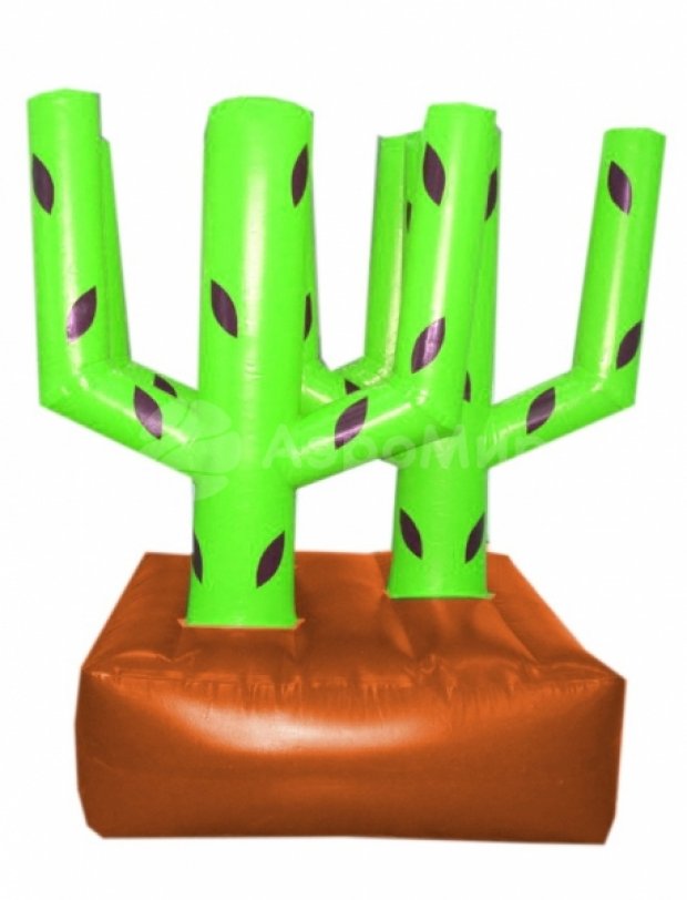 Кольцеброс Кактус