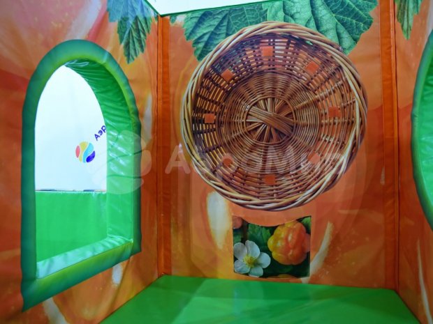 Игровой комплекс Морошка