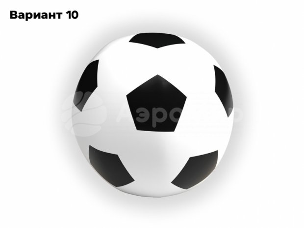 Мяч с чехлом