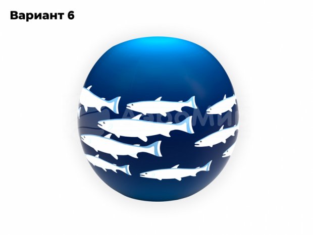 Мяч с чехлом