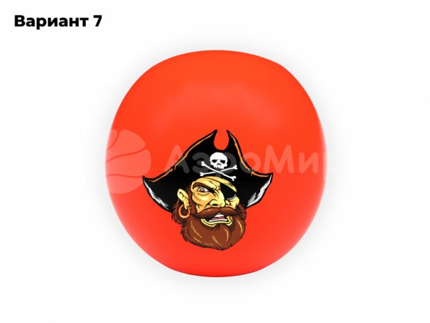 Мяч с чехлом