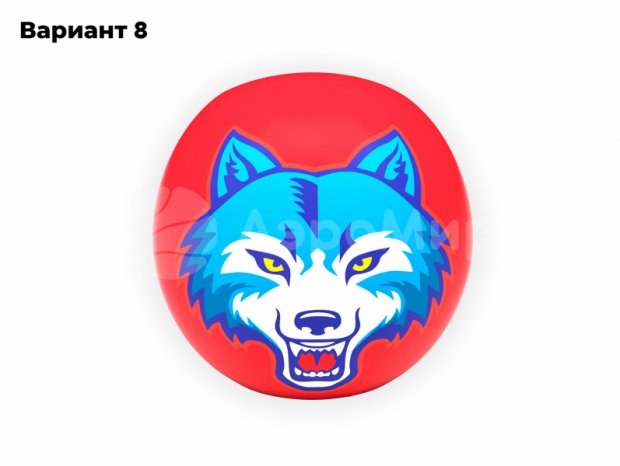 Мяч с чехлом